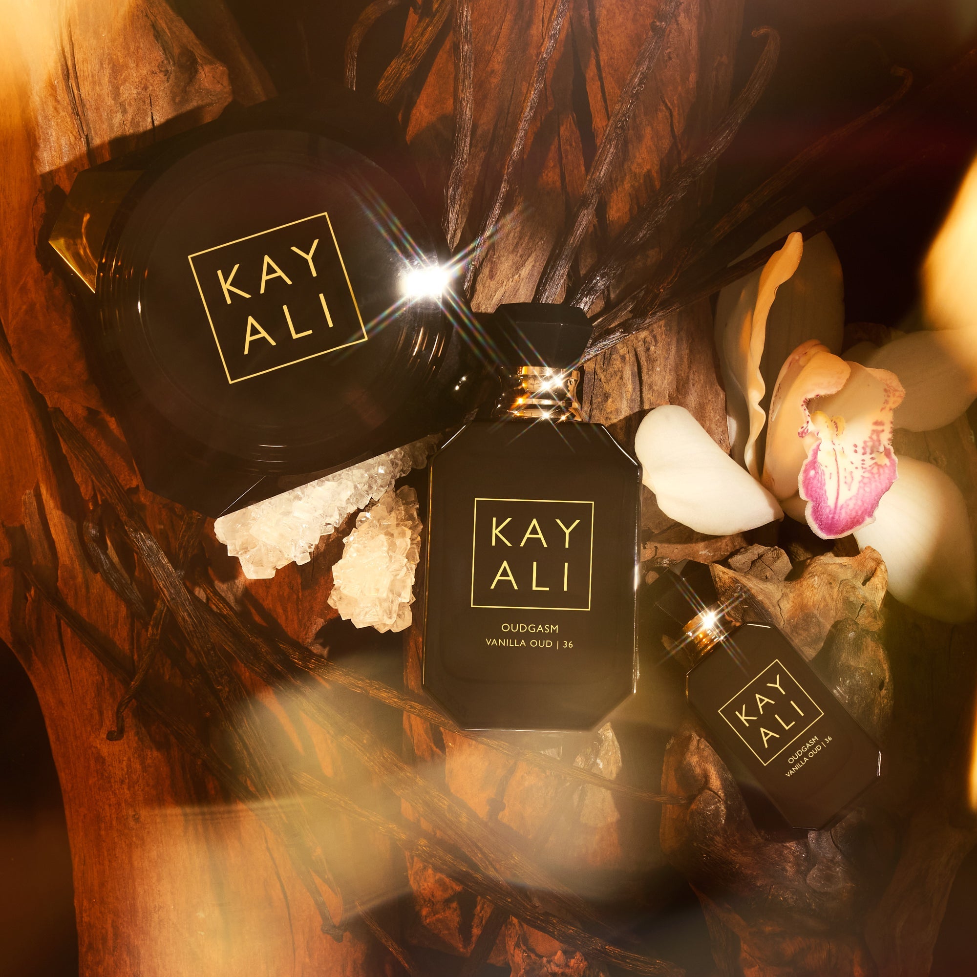 Oudgasm Vanilla Oud | 36 Bakhoor - Image 3