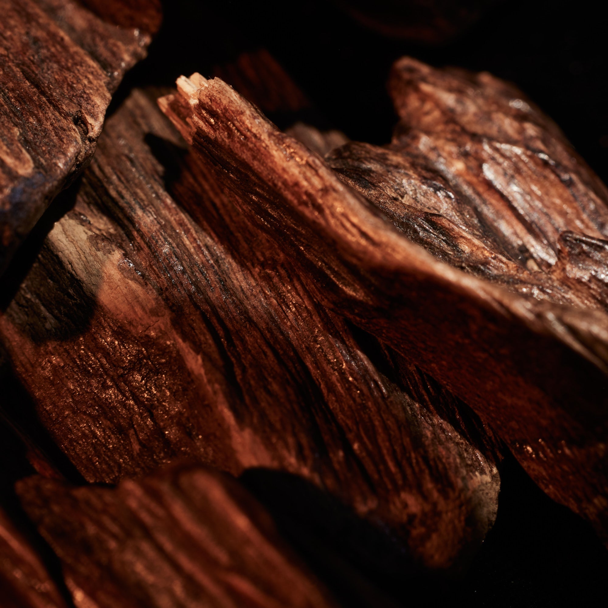 Oudgasm Rose Oud | 16 Bakhoor - Image 7