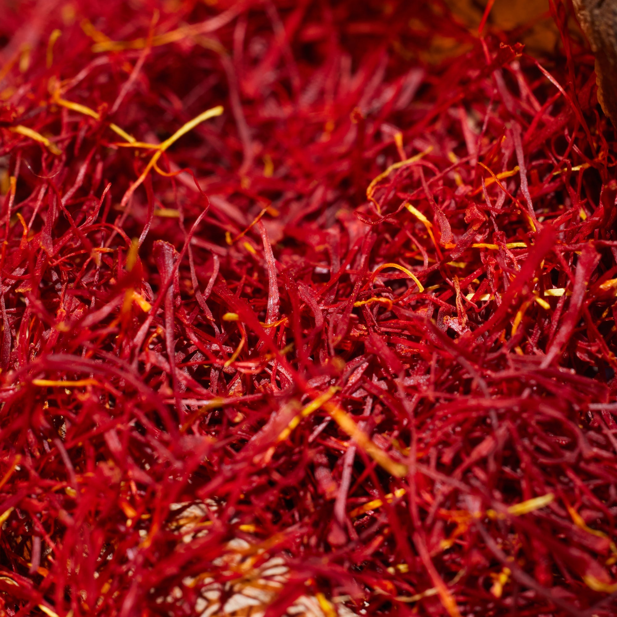 Oudgasm Vanilla Oud | 36 Bakhoor - Image 6